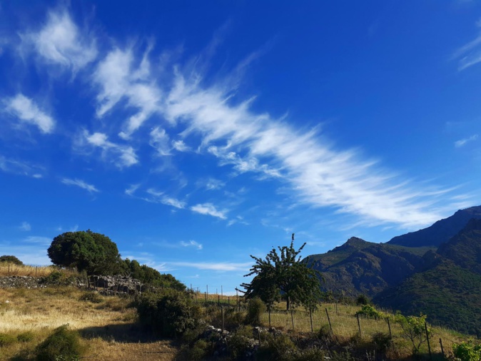 Rughjone petralbincu  (Françoise Geronimi)