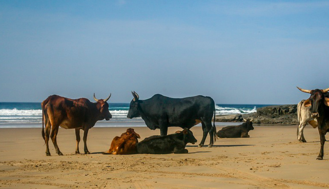 Photo illustration Photo illustration