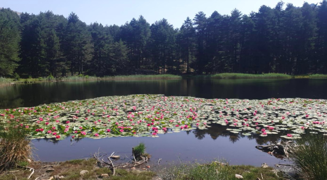 Photo Antoine VERSINI