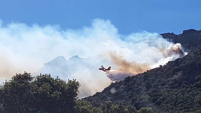 Lumiu : déjà 3 à 4 hectares détruits Lumiu : déjà 3 à 4 hectares détruits