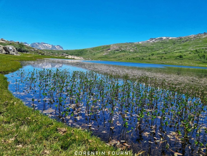 La photo du jour : balade au lac de Ninu