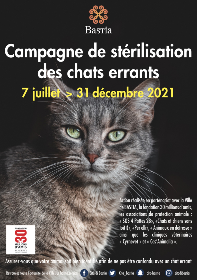 Bastia lance sa campagne annuelle de stérilisation de chats errants