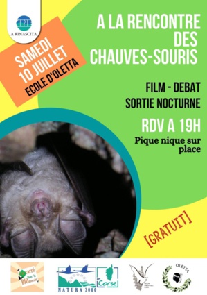 Oletta : rencontre avec les chauves-souris