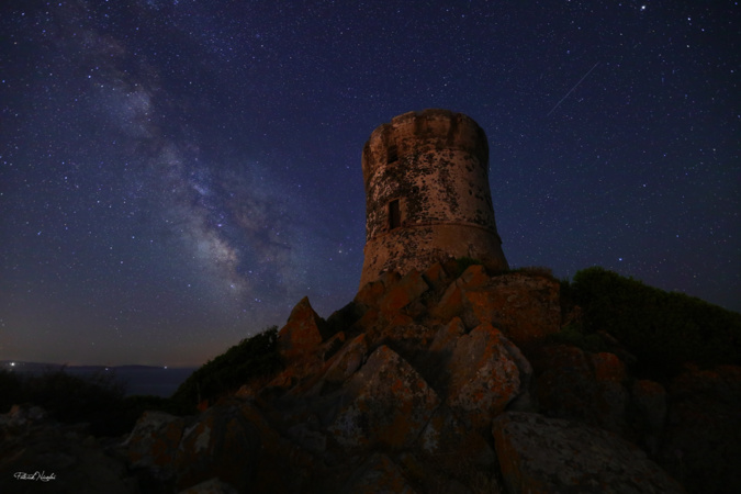 La photo du jour : la tour de la Parata dans la nuit d'été