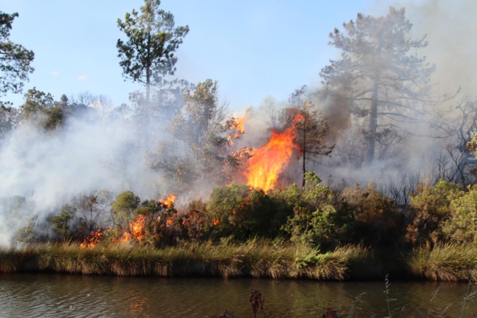 Porto-Vecchio : un incendie parcourt plus de 5 hectares Porto-Vecchio : un incendie parcourt plus de 5 hectares