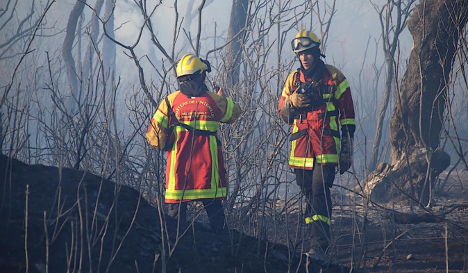 Porto-Vecchio : un incendie parcourt plus de 5 hectares Porto-Vecchio : un incendie parcourt plus de 5 hectares