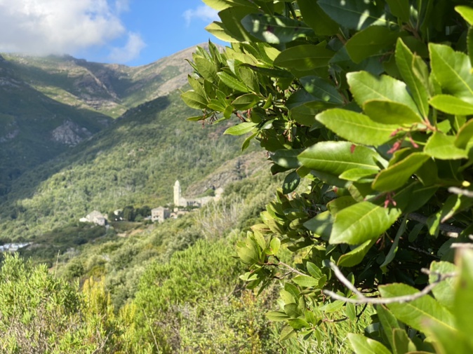 Météo corse : semaine estivale avec toujours un petit vent d’Ouest Météo corse : semaine estivale avec toujours un petit vent d’Ouest
