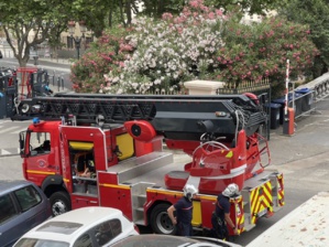 (illustration CNI) (illustration CNI)