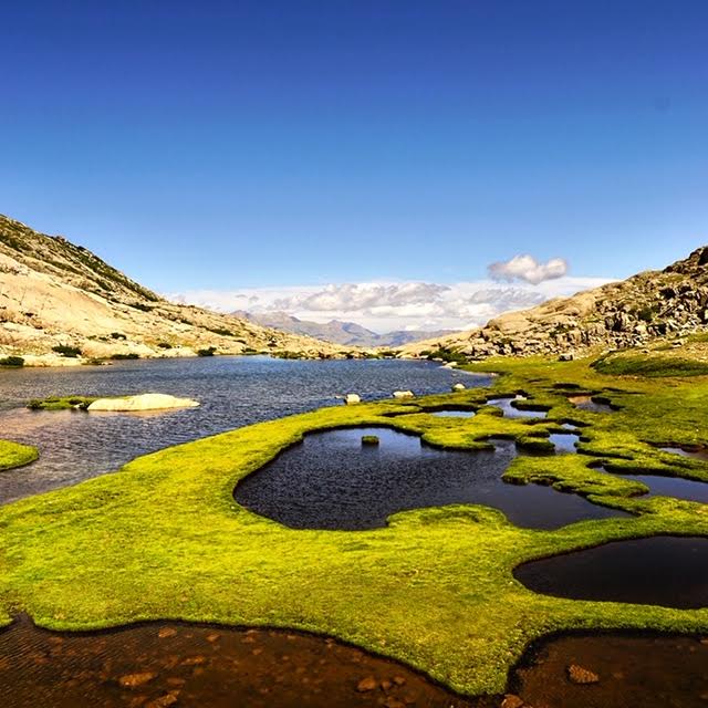 La photo du jour : au lavu de l’Oriente