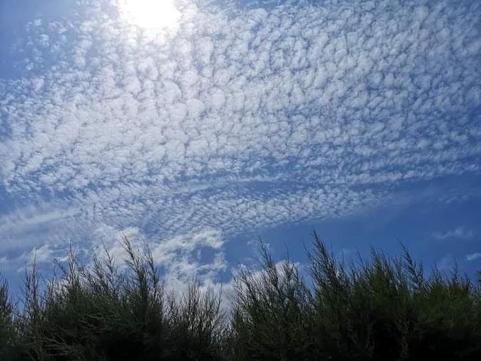 (Françoise Geronimi)