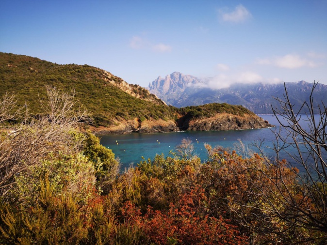 La baie de Caspiu sur la façade maritime du golfe de Porto (Photo Thierry Desnoyer) La baie de Caspiu sur la façade maritime du golfe de Porto (Photo Thierry Desnoyer)