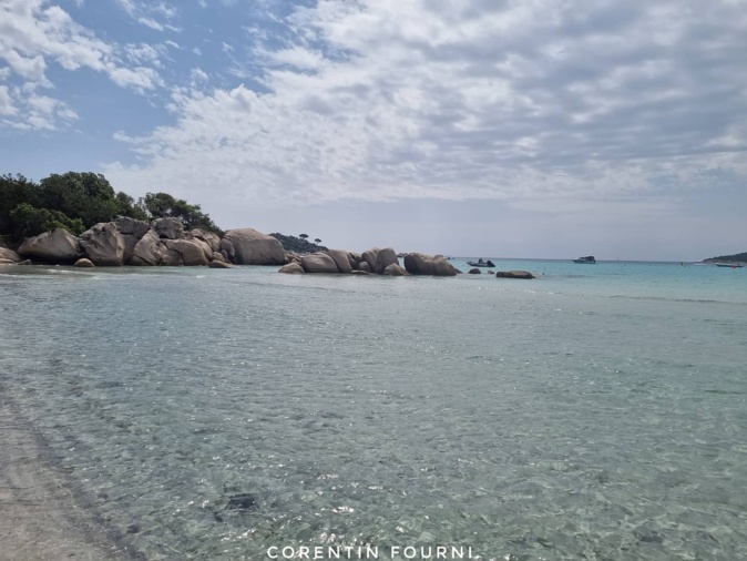 La photo du jour : dans les eaux claires de Santa Ghjulia