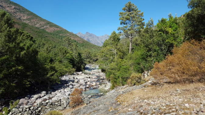 : Le ruisseau de Candella dans ke haut Fangu (Gerald Aprile)