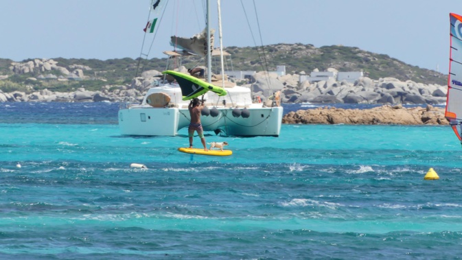 La photo du jour : Jack Russel windsurfeur à Bonifacio