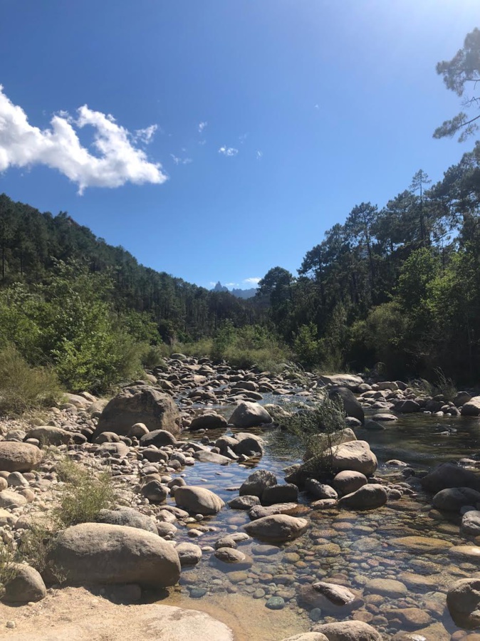 A Sulinzara sur la route des aiguilles de Bavella (Photo Alain Lonegro)
