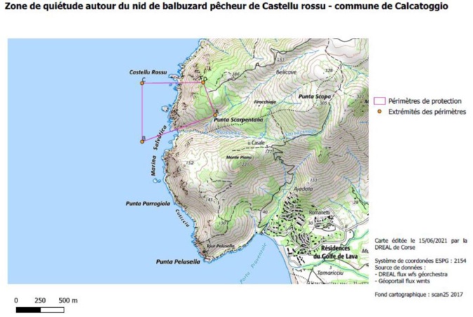 Balbuzard pêcheur de Corse : nouveaux périmètres de protection