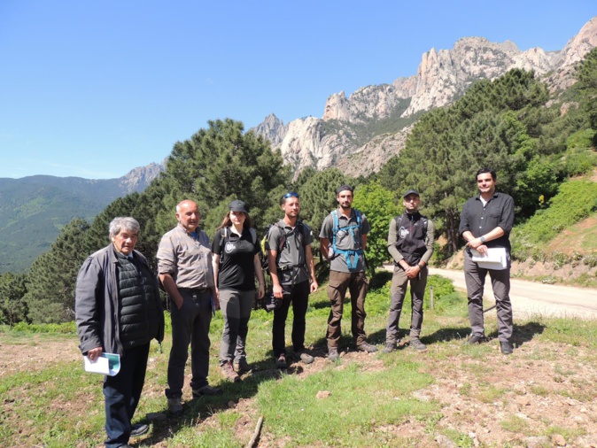 Exceptionnalité et surfréquentation des sites de Bavella : comment permettre un développement économique durable ? Exceptionnalité et surfréquentation des sites de Bavella : comment permettre un développement économique durable ?