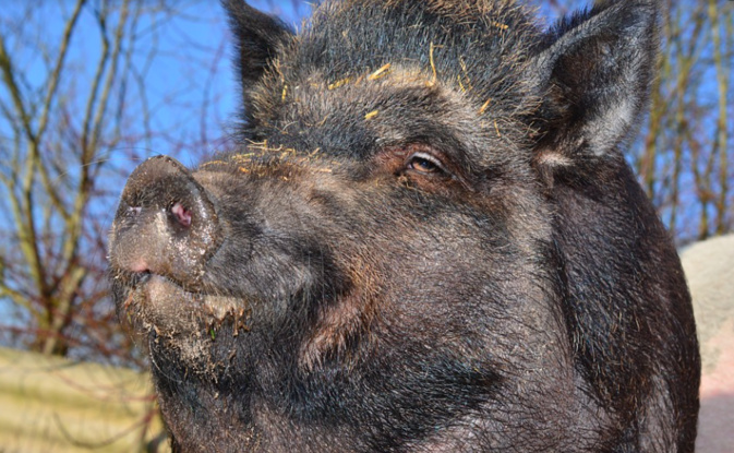 Photo illustration Photo illustration