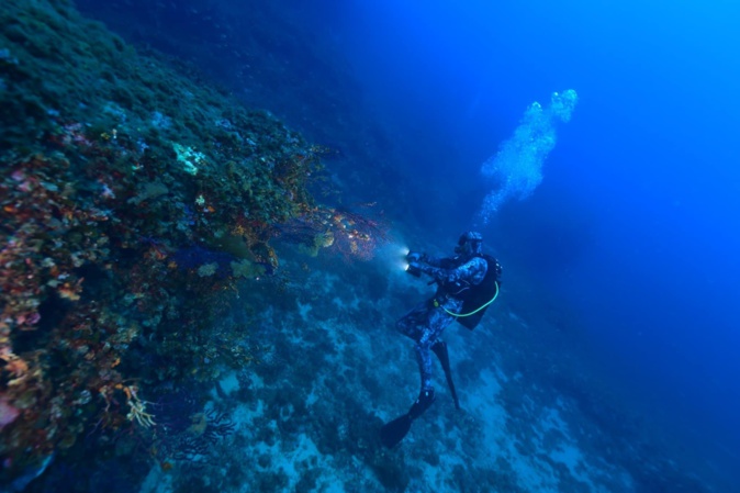 Tony Viacara 11ème au Championnat de France de photos sous-marines : «une superbe expérience»