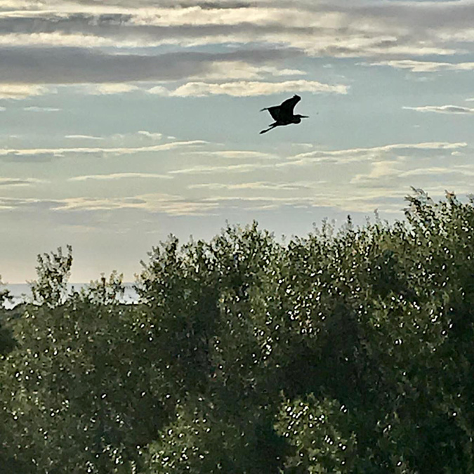 Dans le ciel de Lumiu