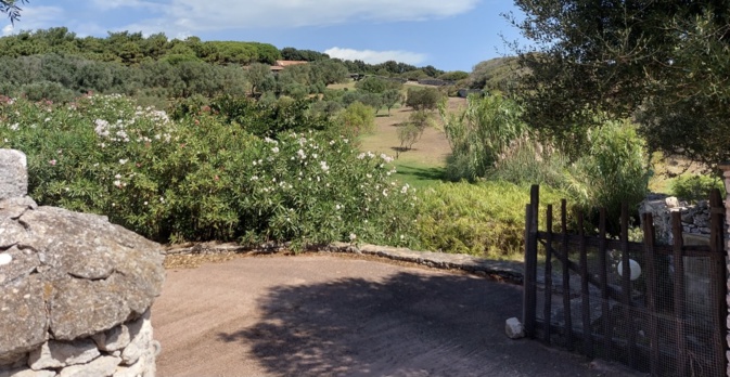 Domaine Masurel. Domaine Masurel.