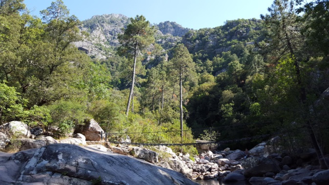 La photo du jour : dans le cirque de Bonifatu, la passerelle sur la Figarella
