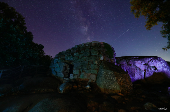 Photo  Nicolaï Patrick