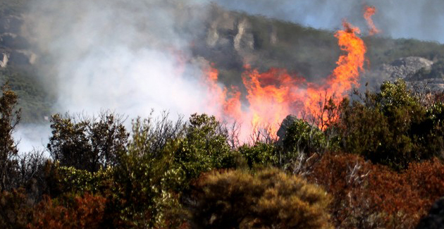 Sotta : Un incendie détruit 5 hectares