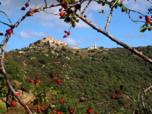 La photo du jour : la beauté de Sant' Antoninu