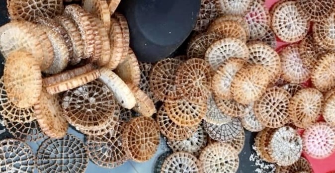 Des biomédias ramassés sur les plages corses.