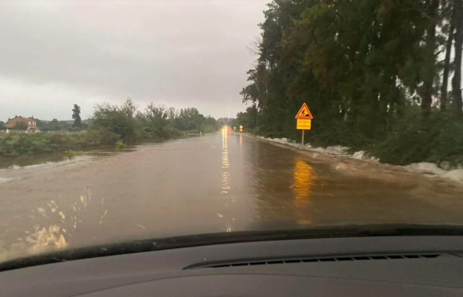 Ce lundi après midi à Bravone Ce lundi après midi à Bravone