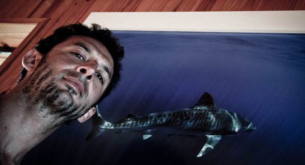 Pierre Frolla, l'homme qui plonge avec les requins, à Santa Giulia