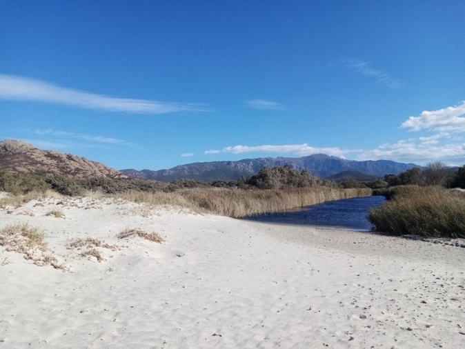 La photo du jour : le calme de l'Ostriconi