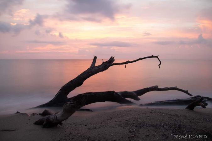 La photo du jour : lever de soleil rose à la Marana