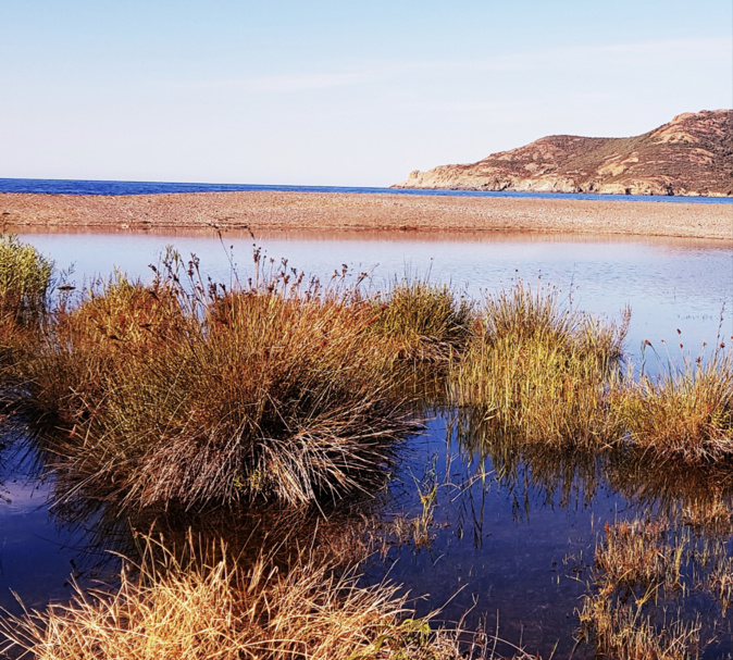 Embouchure du Fango à Galéria  Dimanche 16 octobre - 15 h 30 Photo Dominique Corteggiani