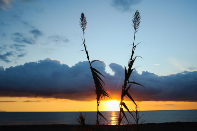 Plage de Tallone a proximité de l'étang de Diane (Hyacinthe Sambroni)