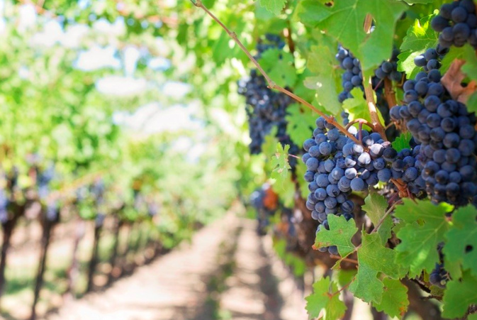 Photo illustration Photo illustration