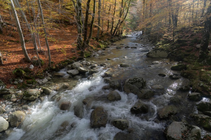 La photo du jour : l'Agnone di Vizzavona