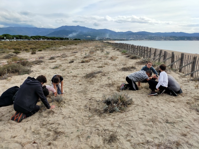 Les élèves des écoles ajacciennes découvrent l'escargot de Corse. Photo : Joséphine Brunet Les élèves des écoles ajacciennes découvrent l'escargot de Corse. Photo : Joséphine Brunet