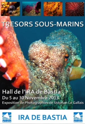 Bastia : Les trésors sous-marins de Stéphan Le Gallais à l'IRA