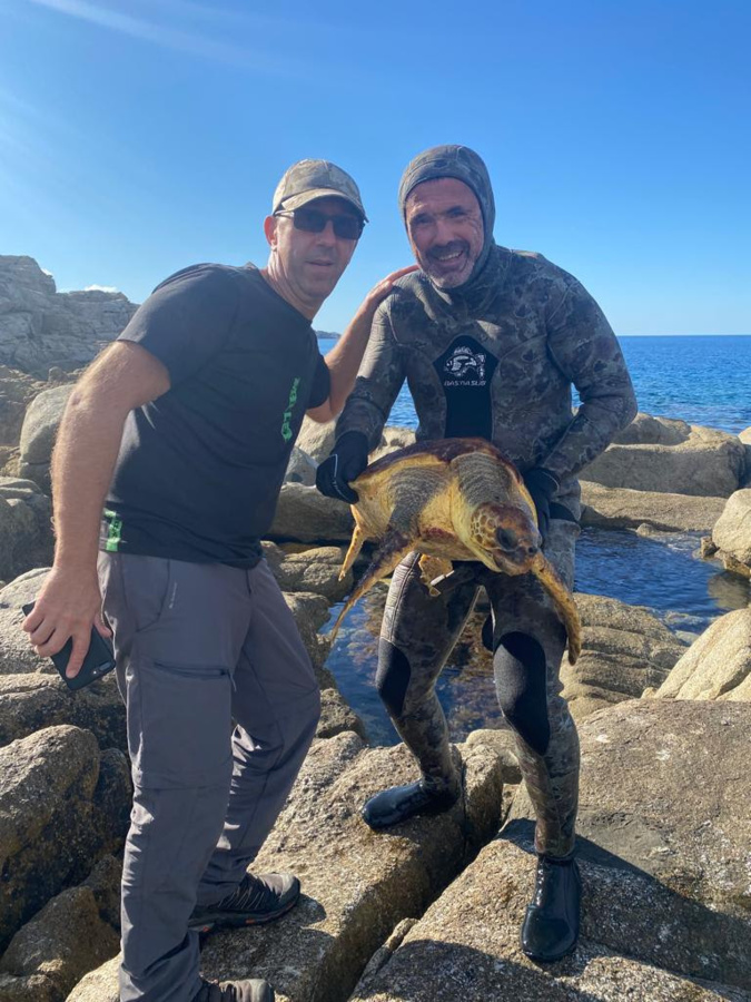 VIDEO - Lisula : sauvetage de la tortue Caouanne VIDEO - Lisula : sauvetage de la tortue Caouanne