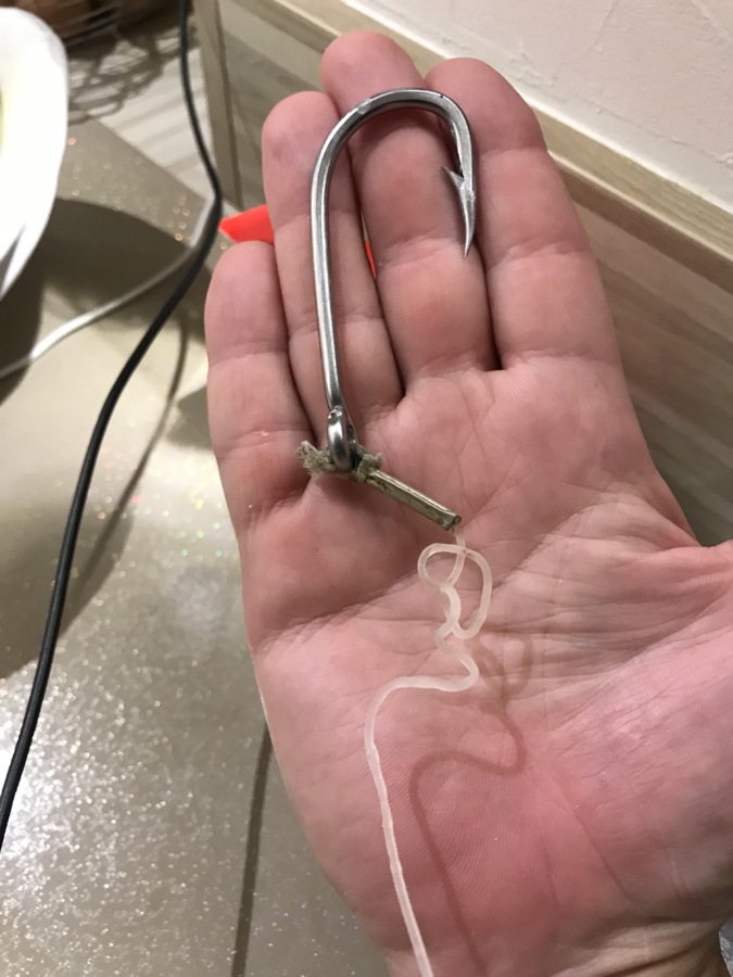 VIDEO - Lisula : sauvetage de la tortue Caouanne VIDEO - Lisula : sauvetage de la tortue Caouanne