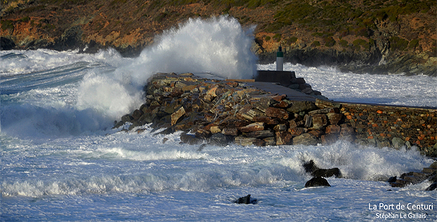 Les belles images de la tempête