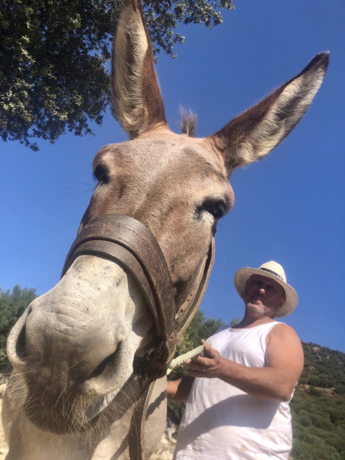 U sumere corsu - photo archives CNI