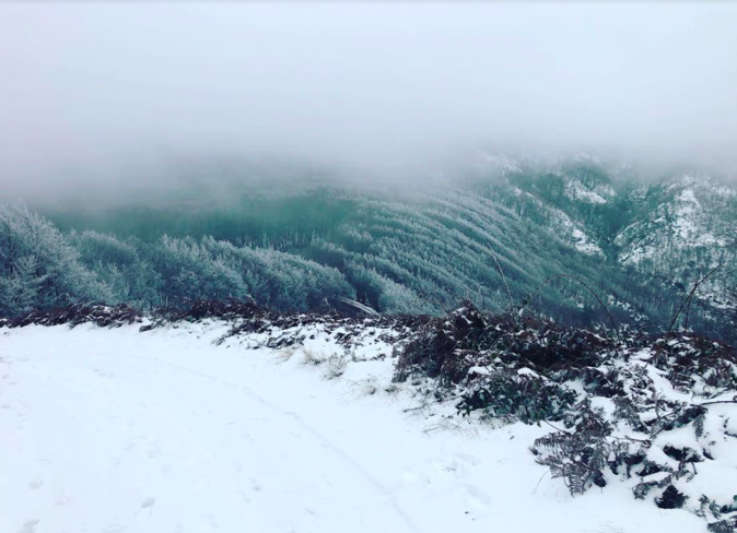 Voici la photo prise ce dimanche à Vizzavona par David Ventura Voici la photo prise ce dimanche à Vizzavona par David Ventura