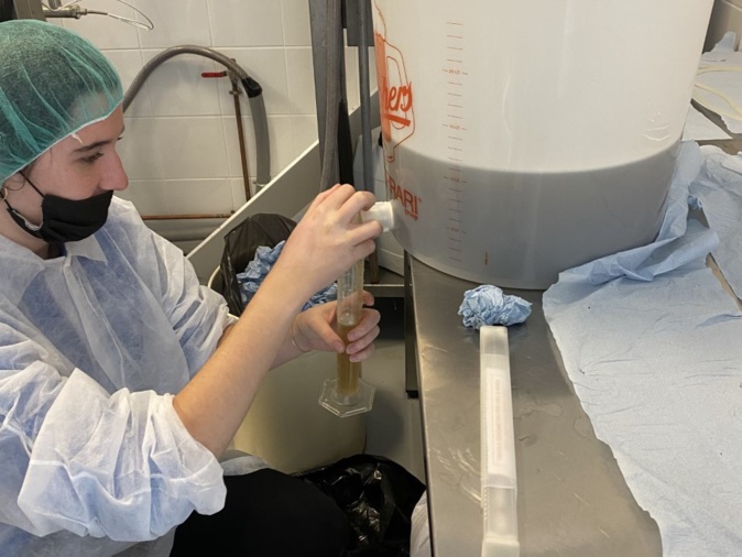 L'élaboration de la bière a été un défi inédit pour les trois étudiantes. Crédits Photos : Léa Pinzuti L'élaboration de la bière a été un défi inédit pour les trois étudiantes. Crédits Photos : Léa Pinzuti