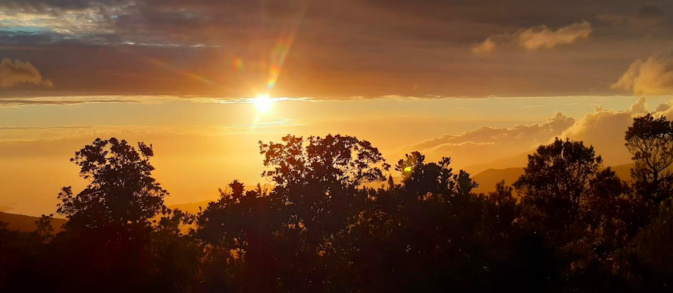 Photo Nunzia-Maria Vesperini-Lugrezi Photo Nunzia-Maria Vesperini-Lugrezi