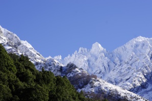 En levant la tête dans haute Gravona (Joseph Dornbusch)