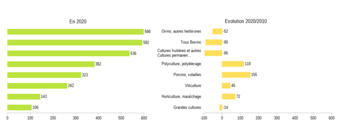 L’agriculture ne recule plus en Corse contrairement à la tendance nationale L’agriculture ne recule plus en Corse contrairement à la tendance nationale