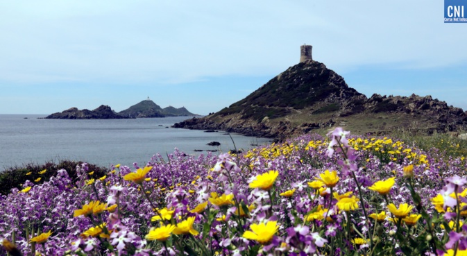 Photo Michel Luccioni Photo Michel Luccioni